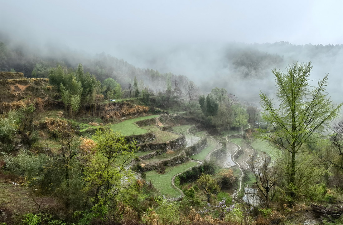 中药材种植-环境.jpg